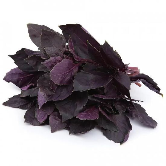 Базик красный