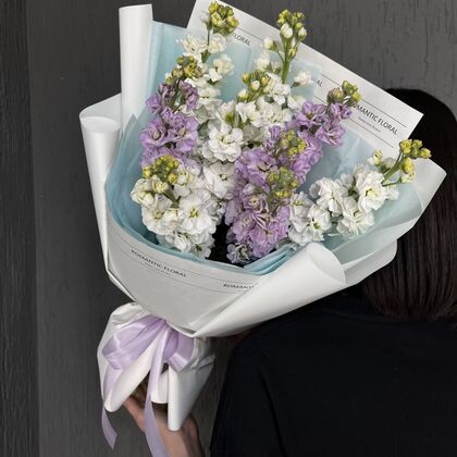 Моно букет с пушистой матиоллой