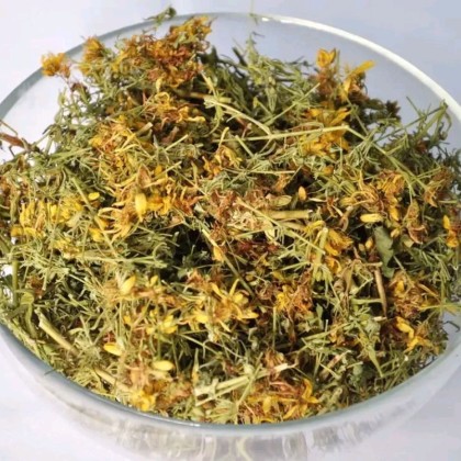 Зверобой, сбор 2025г. Монастырь Марии-Магдалины, Кубань