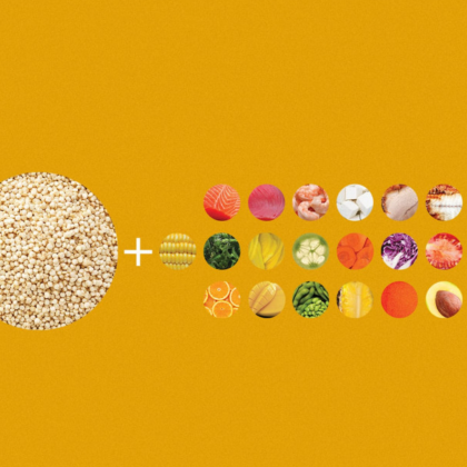 Конструктор поке на основе киноа