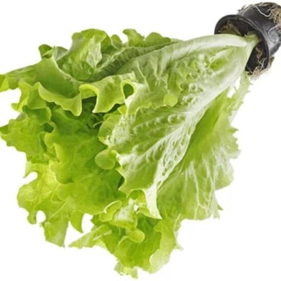 Салат в горшочке