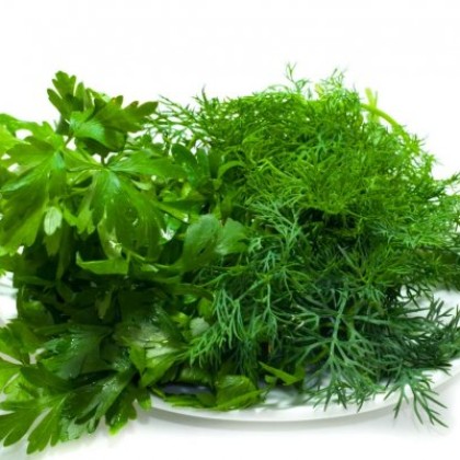 Пучок зелени