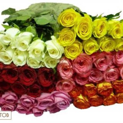 Роза микс Кения 40 см (цвет на выбор) art 594