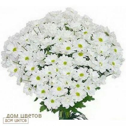 Букет «Ромашки» art 94