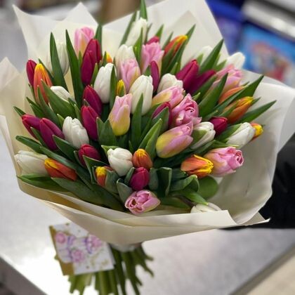 Букет тюльпанов микс 51