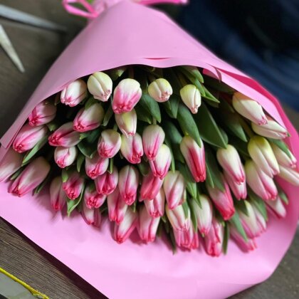 Букет розовых тюльпанов 51