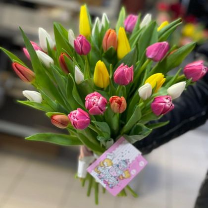 Букет тюльпанов 41