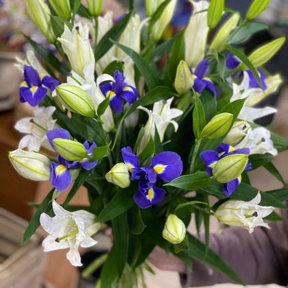 Букет лилий 5