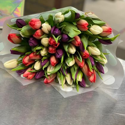 Букет тюльпанов микс 51