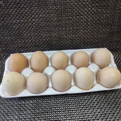 Яйца домашние