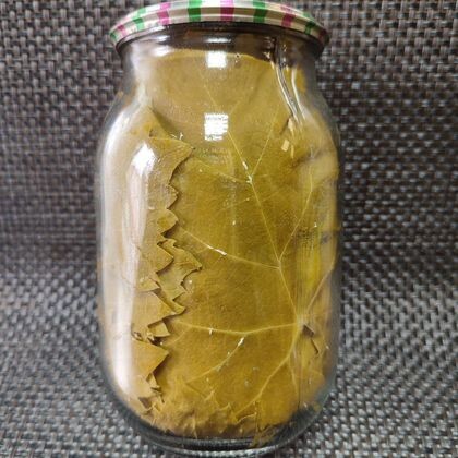 Виноградный лист