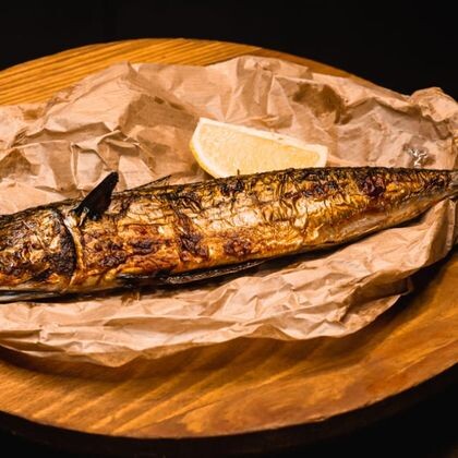 Рыба скумбрия