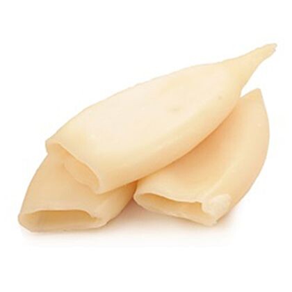 Кальмар (конструктор)