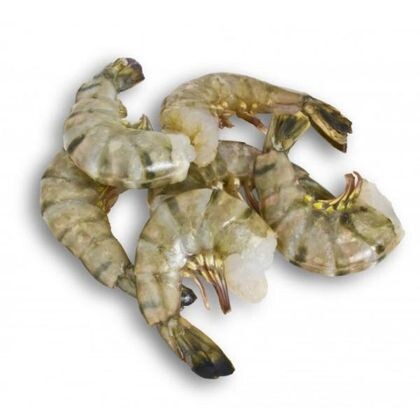 Креветки тигровые (конструктор)