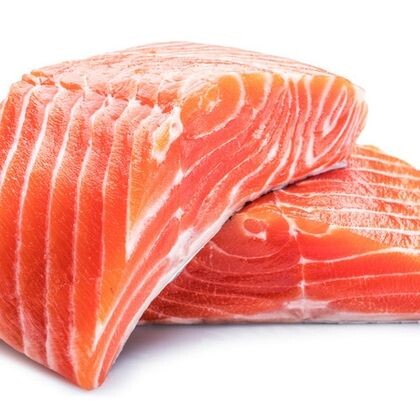 Лосось (конструктор)