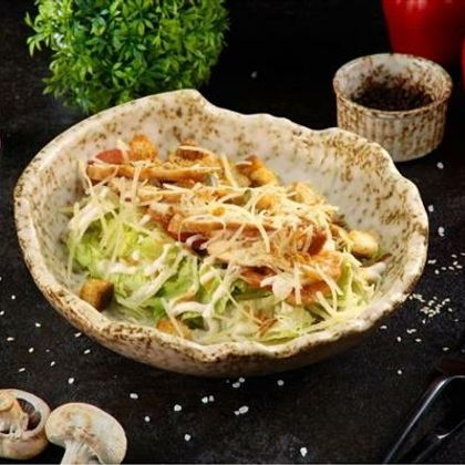 ЦЕЗАРЬ С ЦЫПЛЁНКОМ