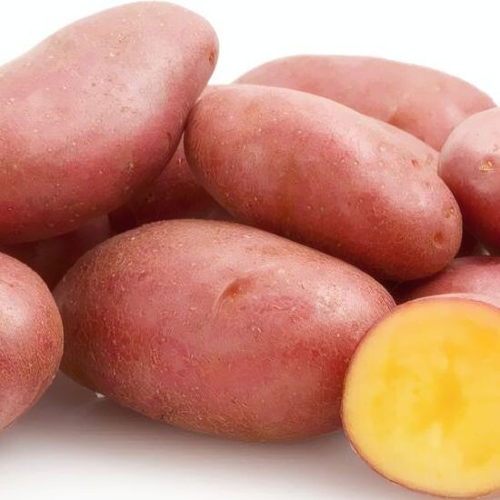 Красный картофель