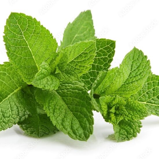 Мята