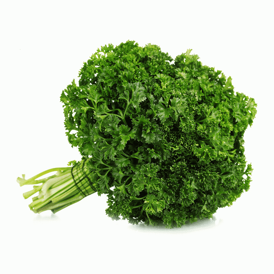 Петрушка кудрявая