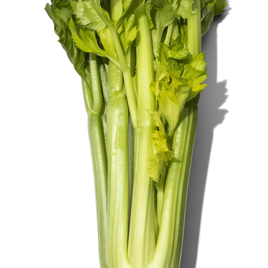 Стебель сельдерея