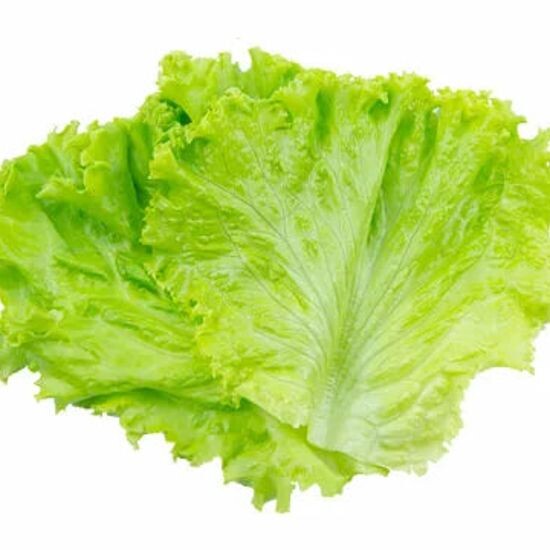 Салат листовой