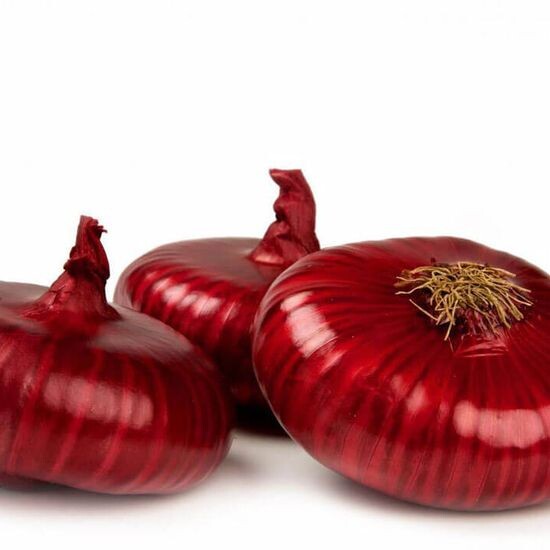 Крымский лук