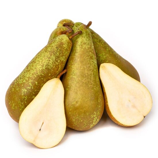 Груша «Конференция»