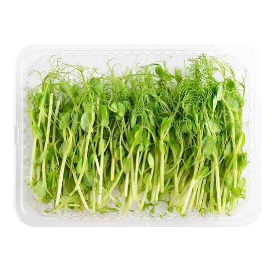 Микрозелень горох