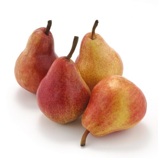 Груша «Ред барллет»