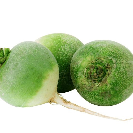 Редька зеленая