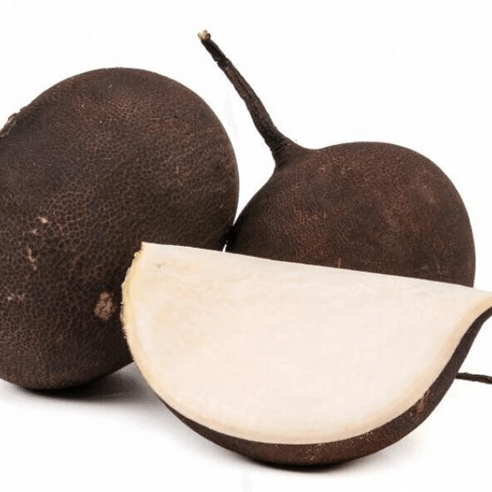 Редька черная