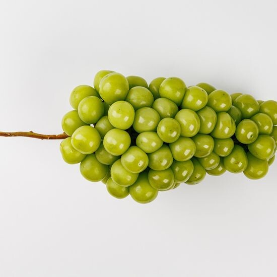 Виноград «Мускат»