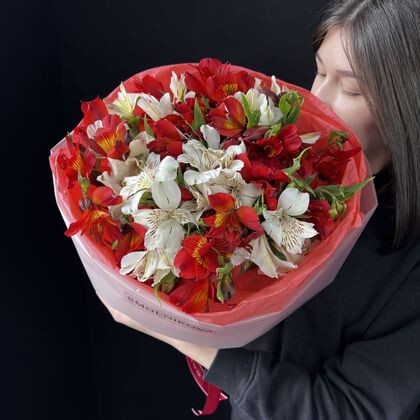 Моно букет из премиальных альстромерий