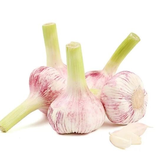 Молодой чеснок