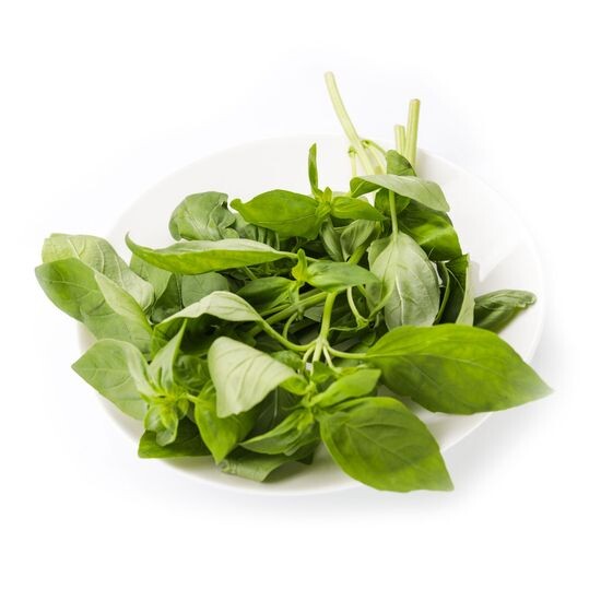 Базилик зеленый