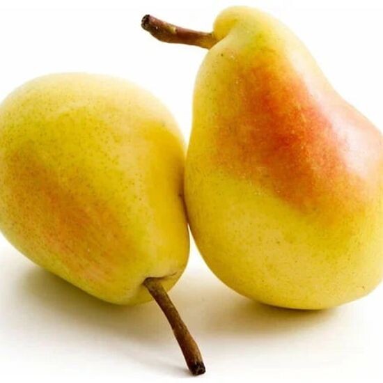 Груша «Санта Мария»