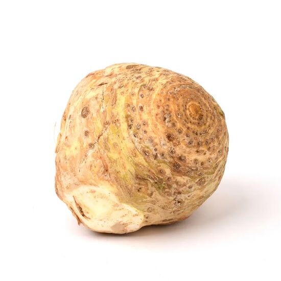 Корень сельдерея